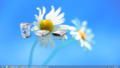 Thumbnail for version as of 21:42, 23 March 2026